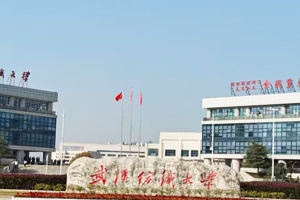 武漢紡織大學(xué)實驗室超純水機