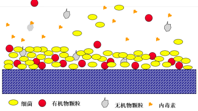 假期歸來，實(shí)驗(yàn)室純水系統(tǒng)這樣維護(hù)，避免實(shí)驗(yàn)