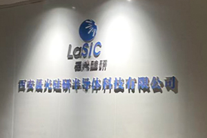 西安晟光硅研半導(dǎo)體科技有限公司SYZ-V-20L