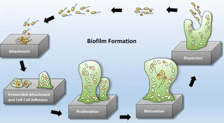 純化水系統(tǒng)